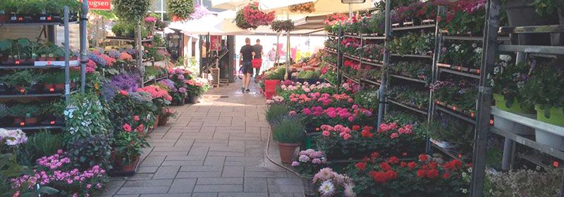 Den Nye Grønne fotograferet udenfor butikken, hvor man kan se en masse sommerblomster på blomstercontainere.