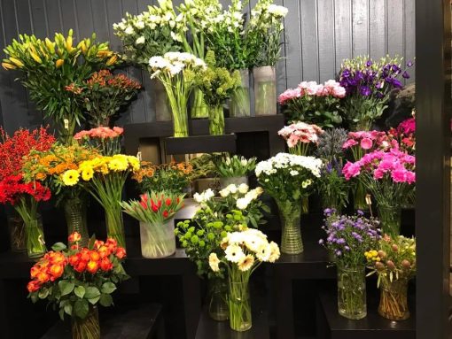 Afskårne blomster opstillet i butikken på podier.