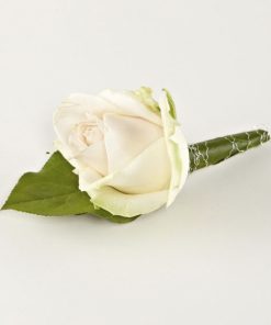 Knaphulsblomst, storhovedet rose