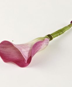 Knaphulsblomst med calla