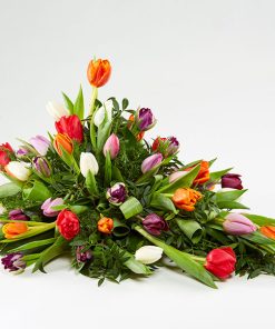 Båredekoration, blandede tulipaner