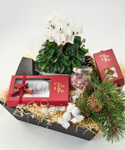 Julegavekasse der blomstrer