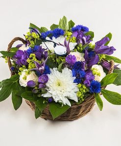 Student i blå og hvid