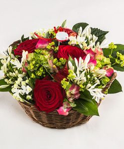 Student i røde farver