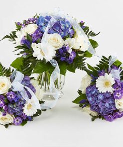 Mor og barn tvillinger blå