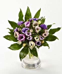 Farverige franske anemoner