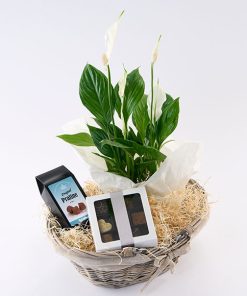 Hyggekurv der blomstrer med chokolade