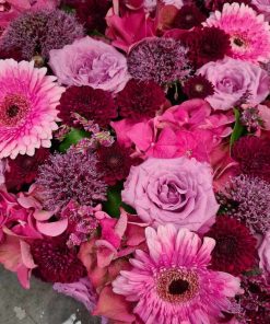 Nærbilleder af pink og lyserøde blomster