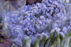 Blå blomster i bundter