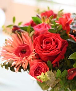 Nærbillede af røde roser og lyserøde gerbera