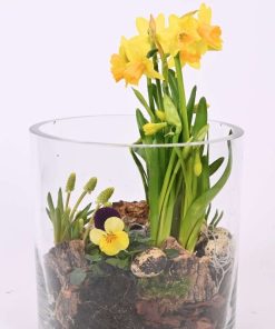 Gul påskelilje i hyggelig påskebeplanting pyntet med andre små planter, påskeæg og bark