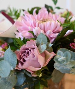 Nærbillede af en lilla rose