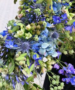 Nærbillede af blå blomster