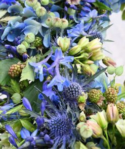 Nærbillede af blå blomster