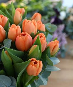 Close-up af buket orange tulipaner i en gennemsigtig glasvase.