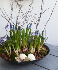 En pynteskål med blå perlehyacinther pyntet med forårsgrene, påskeæg og bark