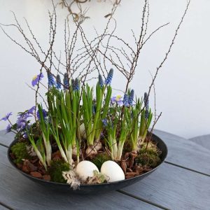 En pynteskål med blå perlehyacinther pyntet med forårsgrene, påskeæg og bark