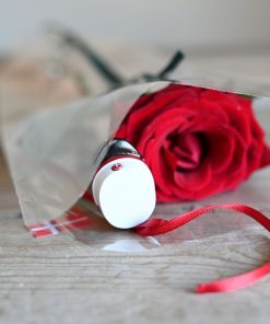 Nærbillede af en rod studenterhue og en rød rose