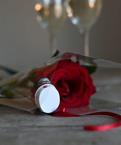 Nærbillede af en rod studenterhue og en rød rose