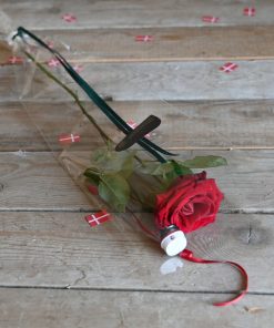 Billede af en rod studenterhue og en rød rose set oppefra