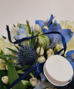 Nærbillede af en lille blå studenterhue og hvide og blå blomster