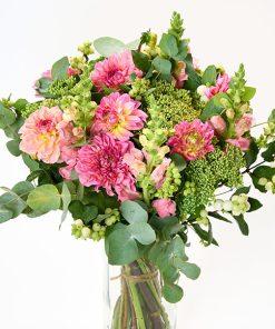 Georginer i flor, floristens valg