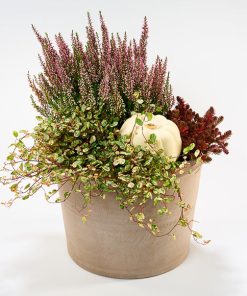 Hyggelig efterårsdekoration med græskar