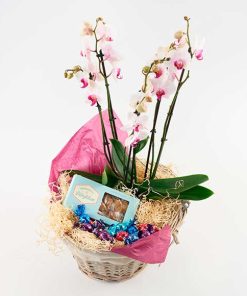 Hyggekurv med orkidé og godter