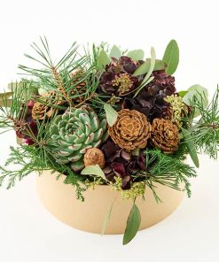 Fortryllende vinteræske