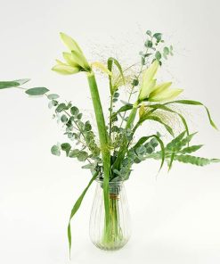 Skøn amaryllisbuket i hvid