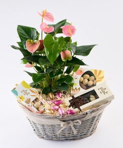 Påske hyggekurv der blomstrer