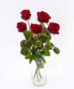 Buket med 5 røde roser