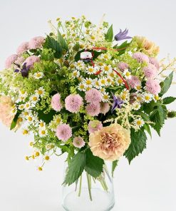 Studenter skønhed med rød hue