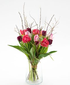 Tulipan herlighed med forårsgrene