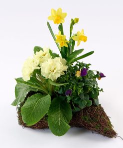 Lys dekoration til gravsted