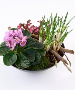 Lille og hyggelig forårsbeplantning