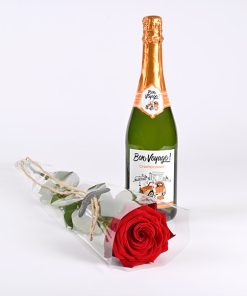 Rød rose med bobler