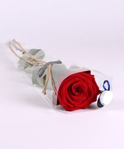 Rød rose med blå studenterhue