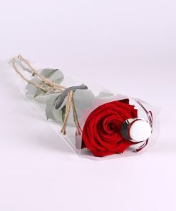 Rød rose med rød studenterhue