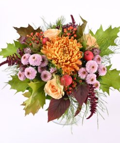 Magisk efterårsdrøm