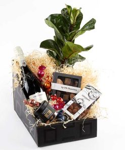 Festlig gavekasse med plante