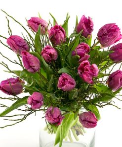 Frisk buket lilla tulipaner