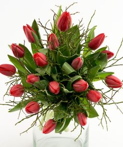 Ensfarvede tulipaner, floristens valg