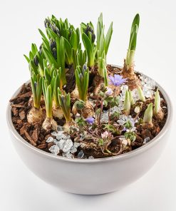 Forårsdekoration, floristens valg