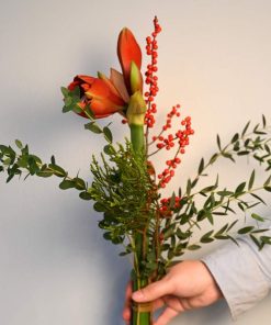 orange amaryllis med blandet grønt, holdt i hånden